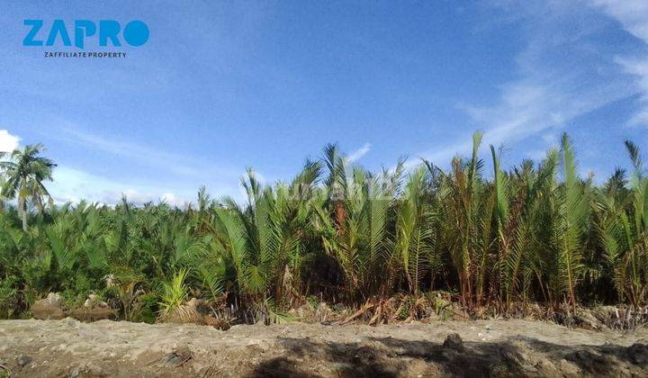 Tanah Kavling Kawasan Ramai Penduduk di Pesisir Selatan 2