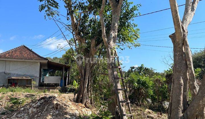 Rare 5 Are Land Leasehold In Bingin 2