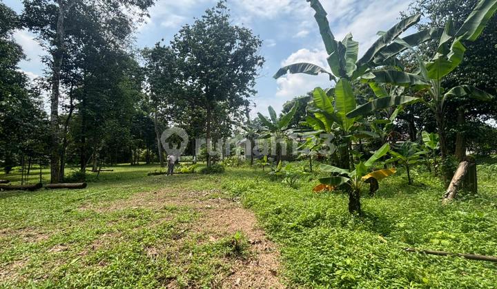 For Sale Land on Cisaat Street, Area 10,000 m2, SHM, Kertarahayu Setu Bekasi