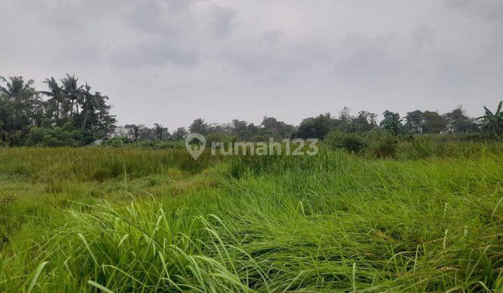 Dijual Tanah Dan Rumah Cocok Untuk Membuat Perumahan Baru Atau Ruko di Babelan Bekasi 1