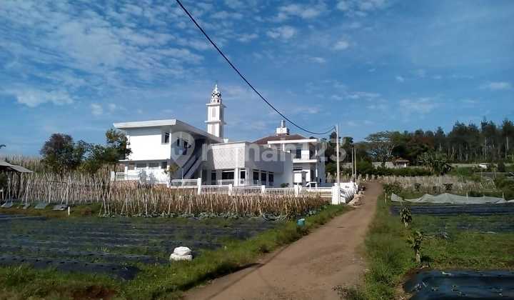 Dijual Tanah Cocok Untuk Villa, Cikole, Lembang, Bandung, Jawa Barat