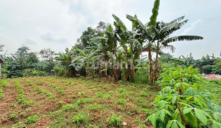 Dijual Tanah Kampung Legon, Siap Bangun, Luas 431M2, SHM, bisa Kredit, Jatimulya Bekasi