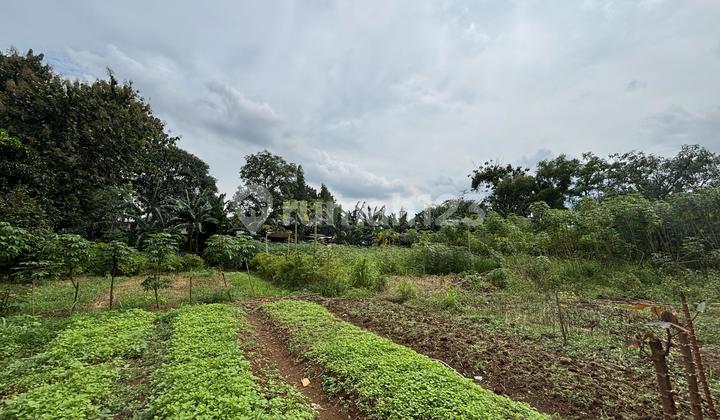 Land for Rent on Jalan Raya Cimuning, 10,000M2, Suitable for Warehouse or Workshop, 5 KM from Burangkeng Toll Road, Cimuning Bekasi Land for Rent on Jalan Raya Cimuning, 10,000M2, Suitable for Warehouse or Workshop, 5 KM from Burangkeng Toll Road, Cimuning Bekasi