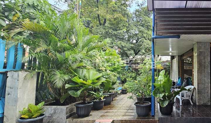 Tanah Bonus Rumah Area Petojo Dekat Gajah Mada Plaza,jakpus 2