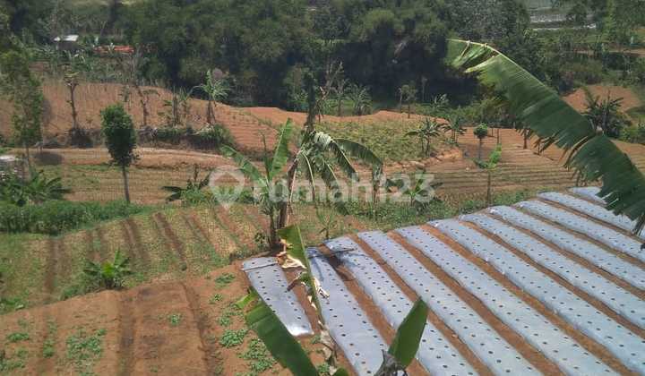 Tanah Datar Area Jonggol Cocok Buat Perkebunan Atau Wisata