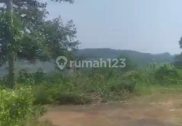 Kintamani, Plantation Land For Long Term Lease 