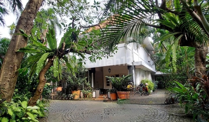 Rumah Asri Gaya Kolonial Vintage Di Jantung Menteng