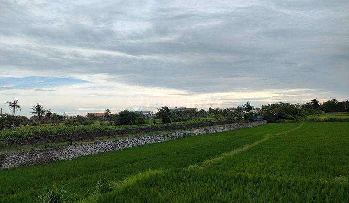 For Sale Land Area Villa With Oecean View And Rice Field View At Keramas Gianyat Bali 2