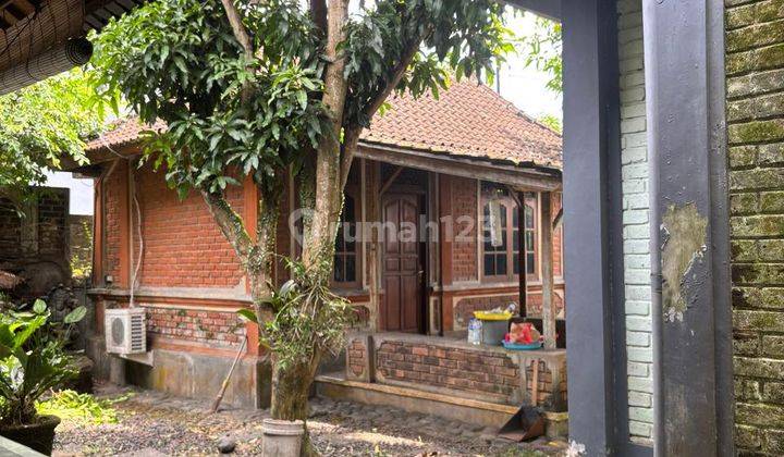 Dijual Rumah Plus Ada Toko Luas 6are 2