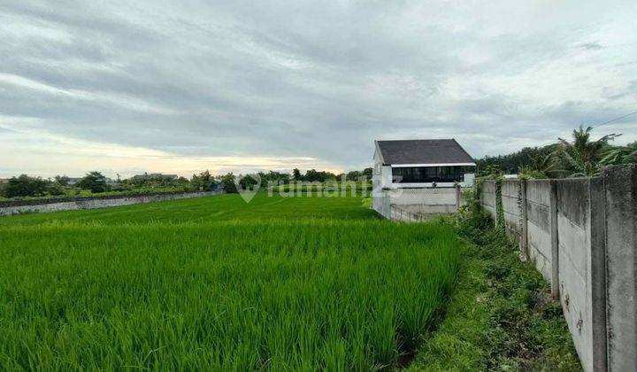 For Sale Land Area Villa With Oecean View And Rice Field View At Keramas Gianyat Bali 1