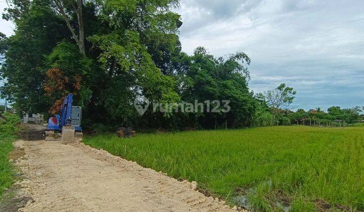 Tanah Kavling Murah Pantai Kedungu Tabanan bali  1