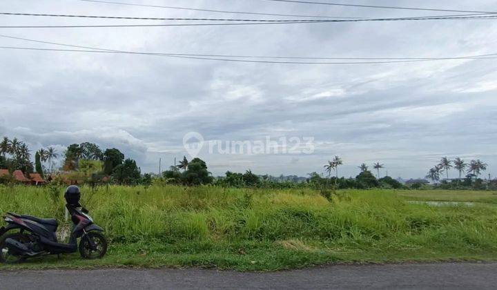 Tanah Pinggir Jalan Utama Pantai Seseh Munggu bali 1