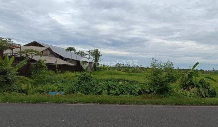 Tanah Pinggir Jalan Utama Pantai Seseh Munggu bali 2