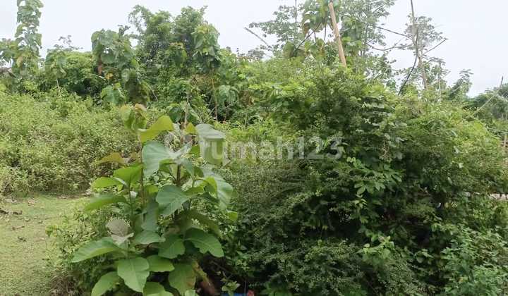 Land Near Balangan Beach, Villa Balangan Environment, Kusel Bali.