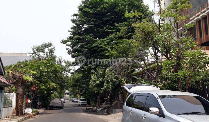 Rumah Tua di TPB SHM Utara TERMURAH HARUS TERJUAL  2