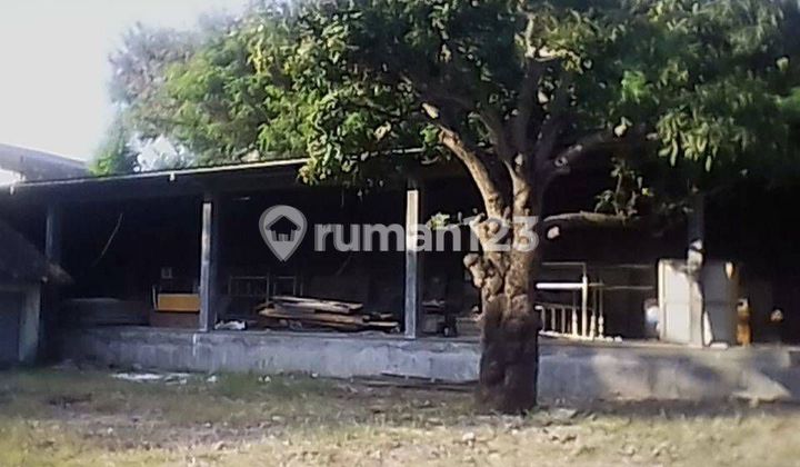 For Sale Strategic Warehouse Business Land in Cirebon