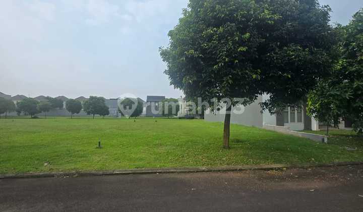 Quick Sale of House Plot in Alam Cluster, Suvarna Sutera Quick Sale of House Plot in Alam Cluster, Suvarna Sutera