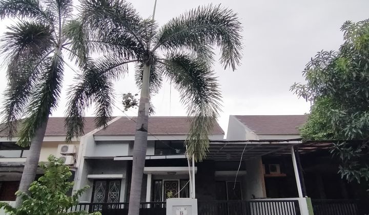 Ifolia Cluster, 3 Bedroom House with Bathtub Ready to Occupy, Kota Harapan Indah 2