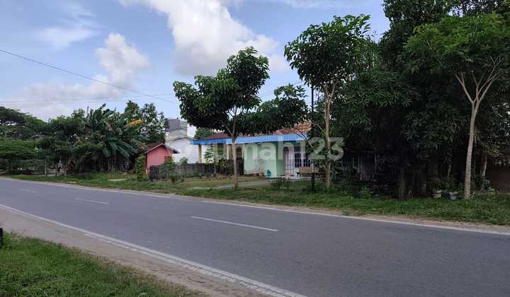 Dekat Singkawang Grand Mall, Jual Rumah Hitung Tanah Aja, Jalan Utama. 2