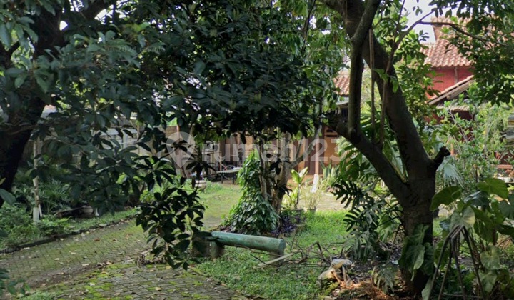 Rumah Berhalaman Luas Hitung Tanah saja!Lingkungan Yg Tenang Cocok Untuk Investasi Di Serua Ciputat