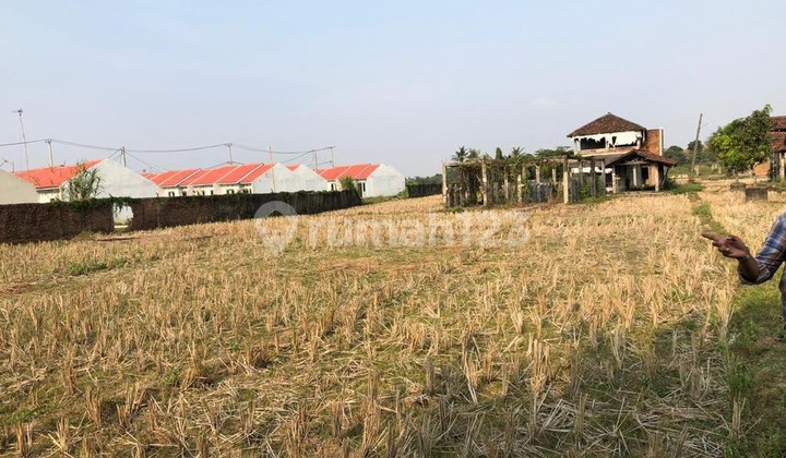 TANAH DI CIBARUSAH JONGOL, BEKASI EX KANDANG SAPI & AYAM DI JUAL