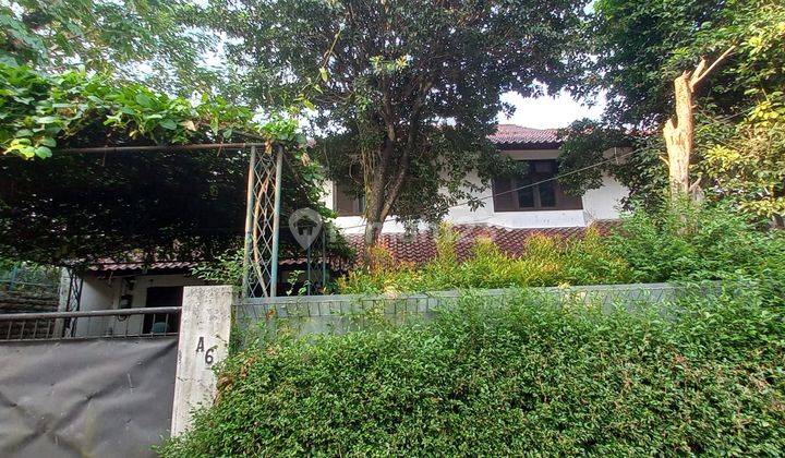 RUMAH 2 LANTAI DNG SWIMMING POOL DI DAERAH TENANG CILANDAK, JAKARTA SELATAN 2