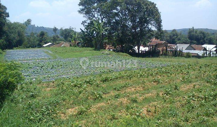 Tanah Cocok Untuk Kebun Villa Di Pacet Ciherang Cianjur 1