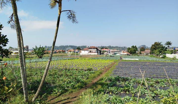 Tanah Bentuk Kotak Rata di Parongpong Cihanjuang Rahayu Bandung 1