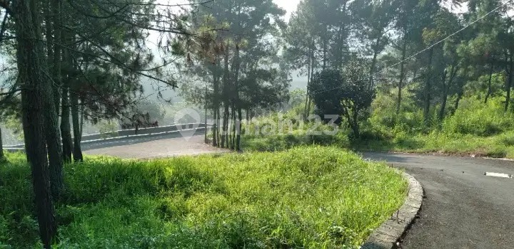 Prime land plot for quick sale in the popular Dago Giri area, Lembang.