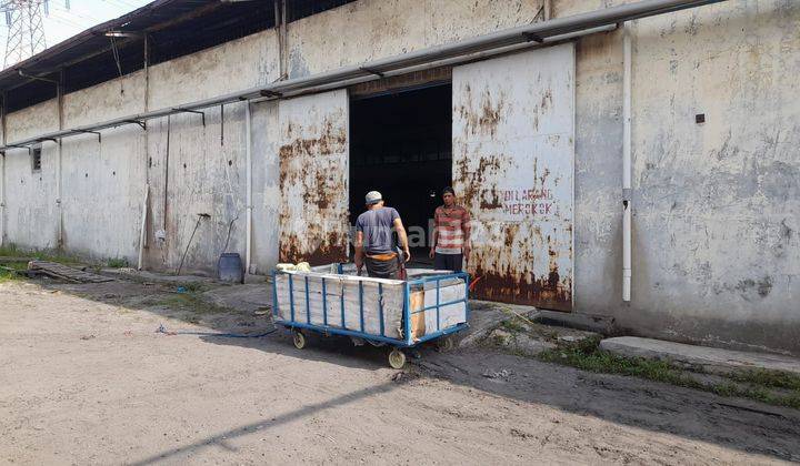 Di Sewakan Gudang Murah Di Kota Tangerang  2