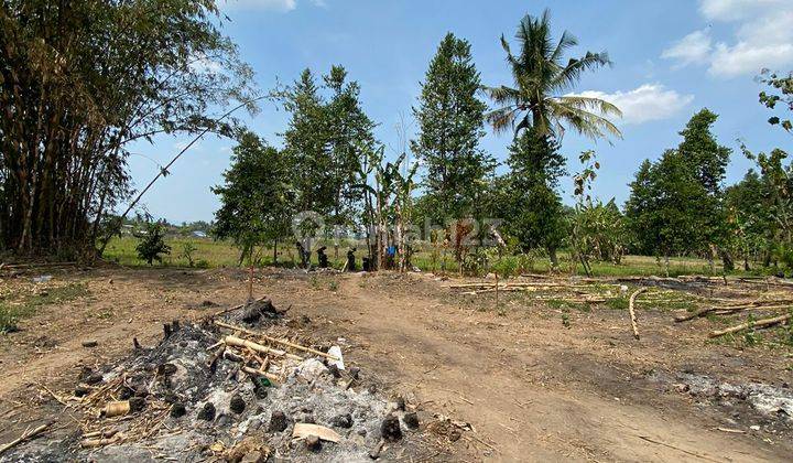 Tanah Bonus Rumah di Jangkang Dekat Blue Lagoon Jogja