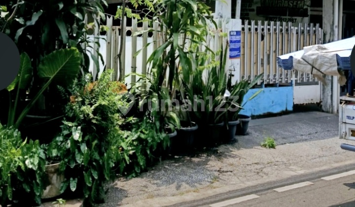 Rumah Rumah.kayu Putih Hitung Tanah L188 Murah 2