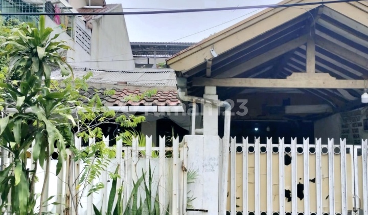 Rumah Rumah.kayu Putih Hitung Tanah L188 Murah
