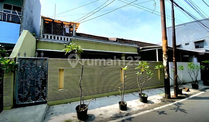 Nice Cheap House Land 282 in Cempaka Putih