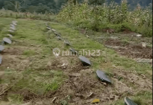 Lahan Makam Dekat Tol Cikamuning 1