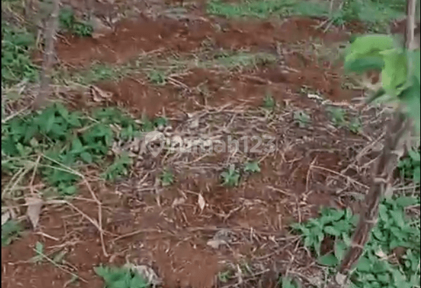 Lahan Makam Dekat Tol Cikamuning 2