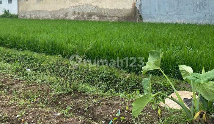 Tanah Kotak Mainroad Seroja Arah Jalak Harupat, Soreang Bandung