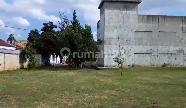 l Swiftlet House + Large Land on Jl. Nurdin Panji Promising Investment Potential