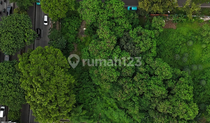 The Last Prime Hook In Simprug The Last Prime Hook In Simprug