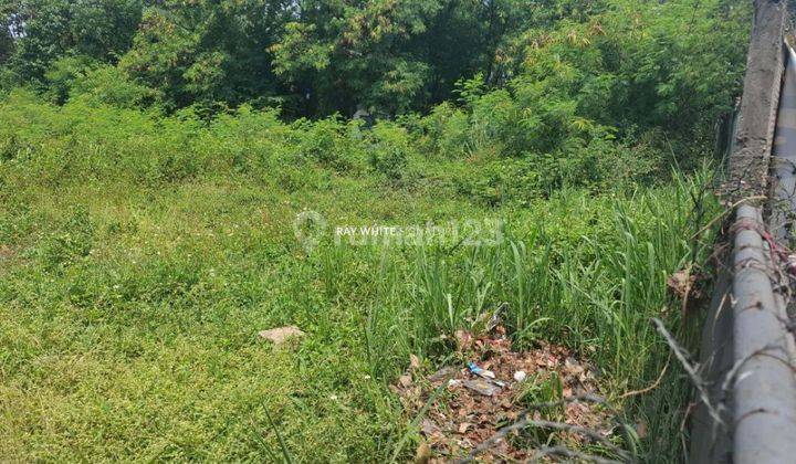 Tanah 6.000 Meter di Jl. Alternatif Cibubur Cileungsi Bogor 1