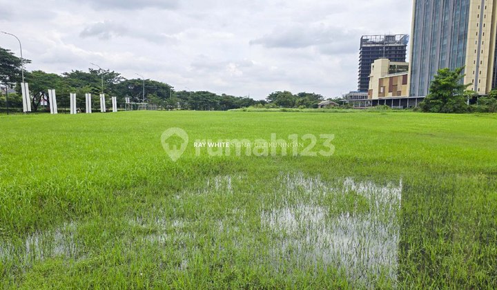 Tanah 2,4 Hektar Di CBD BSD City Dekat Branz Cocok Untuk Invest