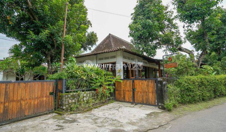 Homestay Jl. Solo Km 15 Sleman Yogyakarta 1