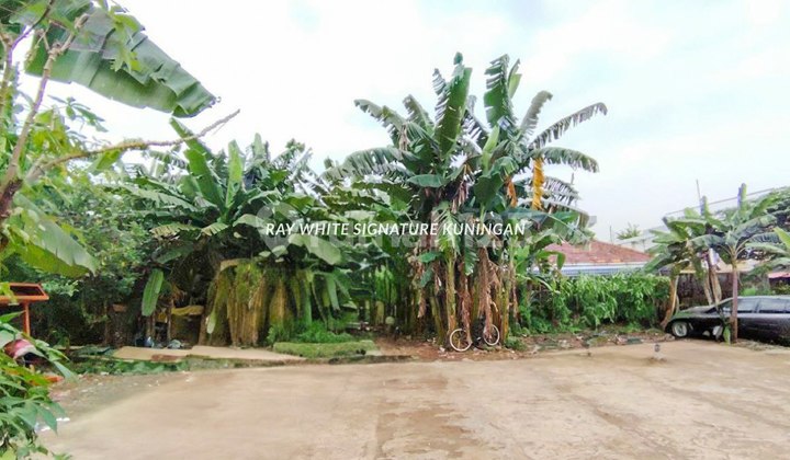 Tanah Kavling Cocok Untuk Hunian atau Kost di Jl Gajah Mungkur