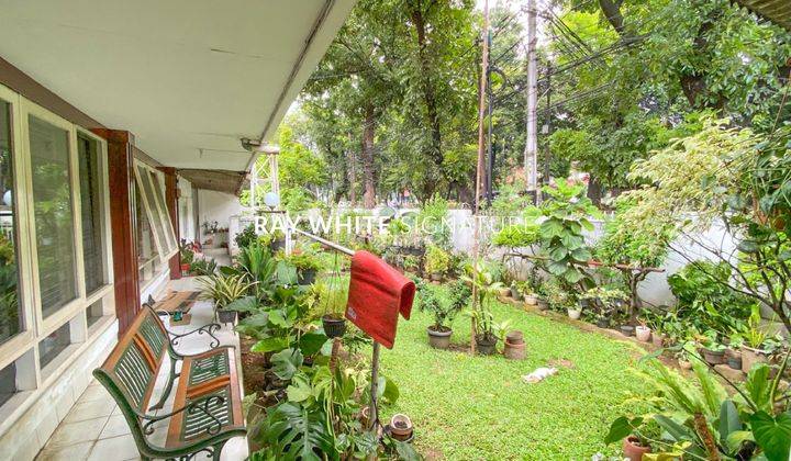 Rumah Lama Pinggir Jalan Raya di Jl Wijaya 1 Cocok Untuk Usaha 2