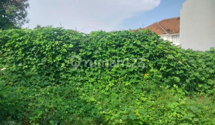 Tanah Jual Berawa Dekat dengan Finns dan Atlas Beach Club