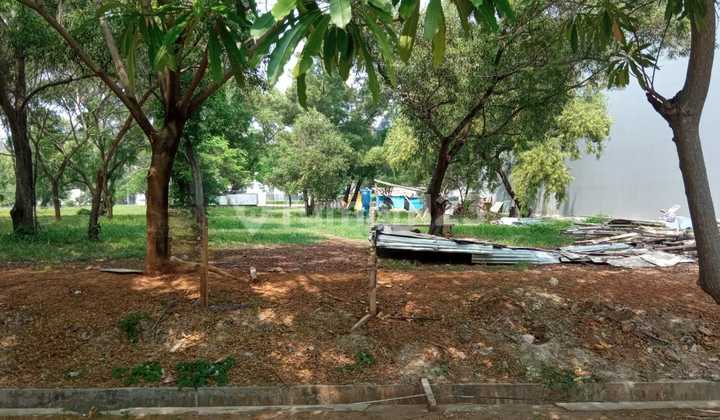 Dijual Kavling Pik 1 Luas 627M Hadap Utara Harga 32 Juta/Meter Dijual Kavling Pik 1 Luas 627M Hadap Utara Harga 32 Juta/Meter