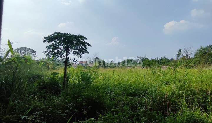 Land For Sale Bubulak Bubulak Main Road