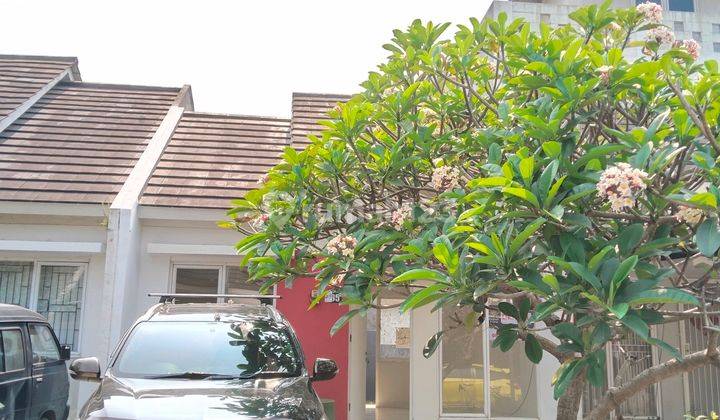 Rumah 1 Lantai Serpong Lagoon Jual Cepat 1