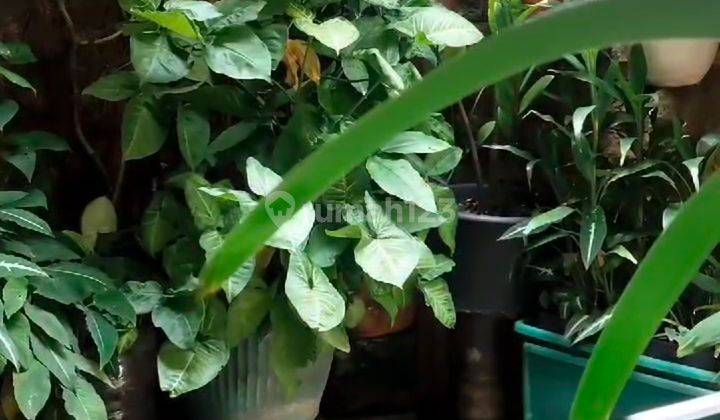 Rumah Siap Huni Dan Bagus 1