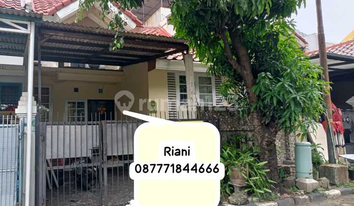 Dijual Rumah Di Cluster Cemara Di Banjar Wijaya 1